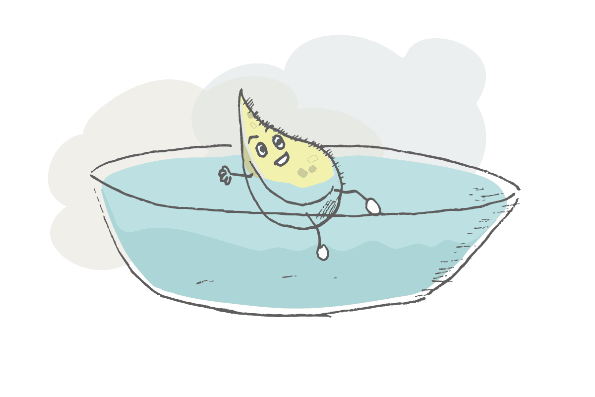 Nährstoff im Wasser