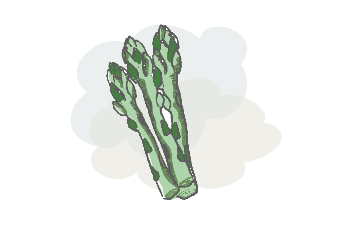 Spargel im Dampfgarer